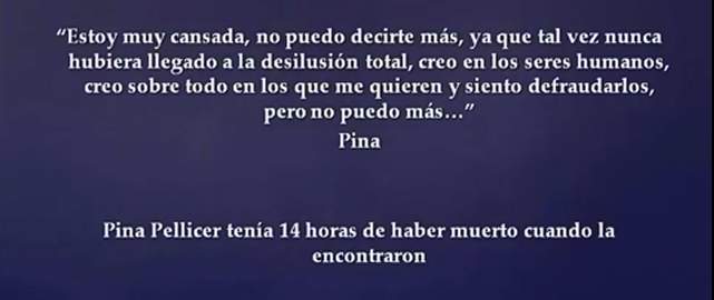 PINA PELLICER