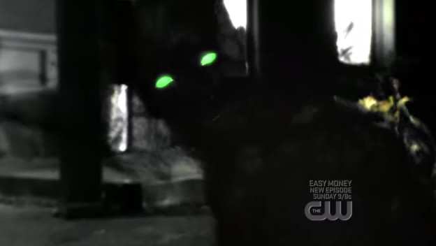 SMALLVILLE 8x6 PREY