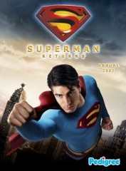 SUPERMAN RETURNS ANNUAL