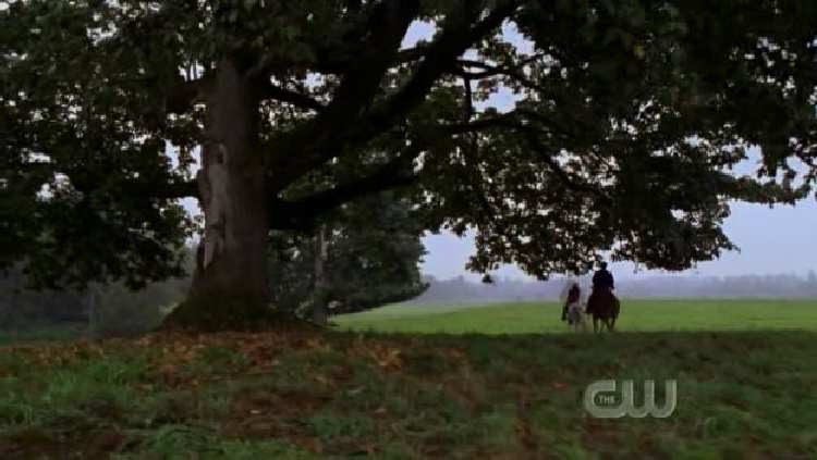 SMALLVILLE 7x07 WRATH